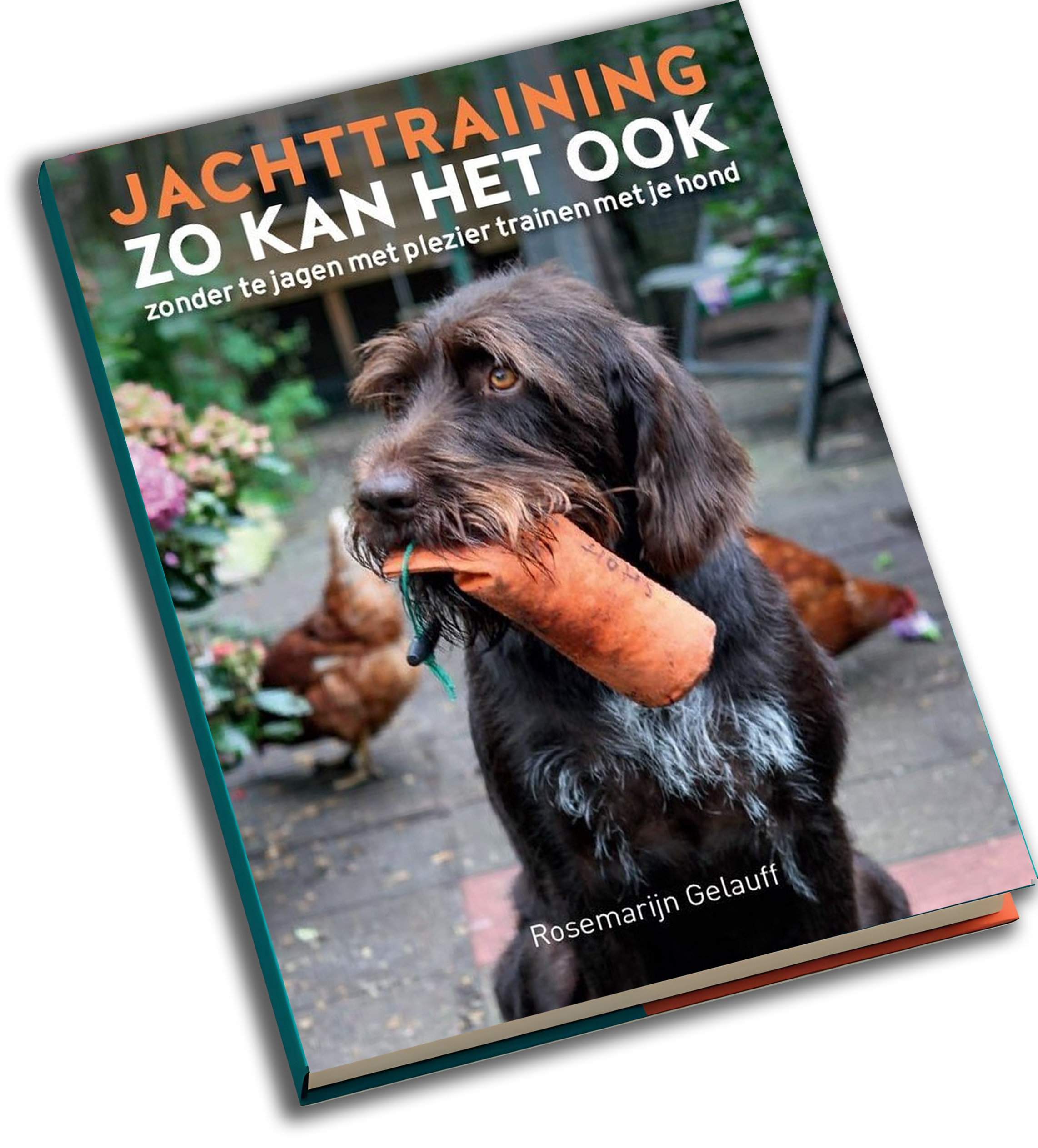boek