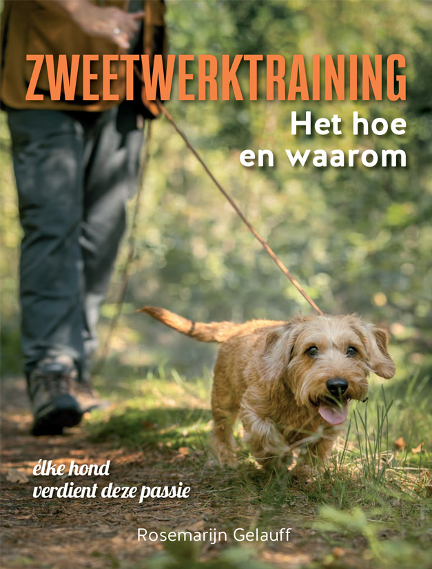 hoe en waarom ad