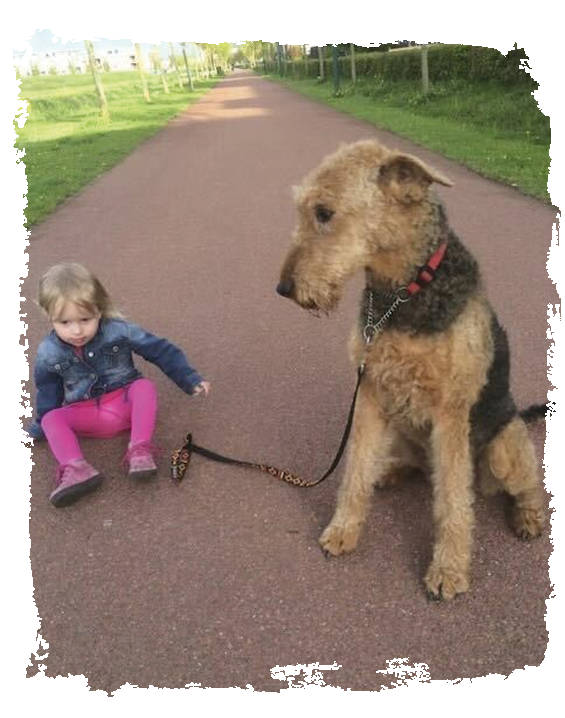 kind en hond